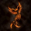 phoenix_egl