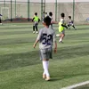 hsaan.2013