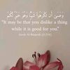 fatima.ashraf303