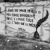 davizz.02