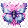 mariposawwwtiktok0