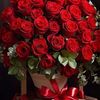 fatima.mohammadi83