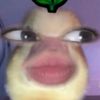 micamontserrat0