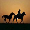 khaldsalmdayny7