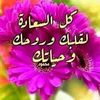 user4205305322060