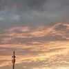 _estrela929