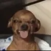 kembaby2k