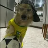 lz_pl0