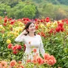 dinhthihuong.vp