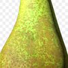 dayzpear