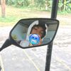 zal_744