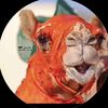الكااَيد