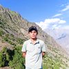 tahamehdi313