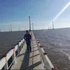 thanhhungpham8386