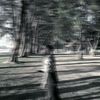 upycee_