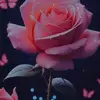 mbak.sun.ndari
