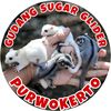 GUDANG SUGAR GLIDER PURWOKERTO