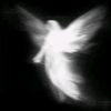 holy_spirit21