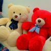 teddycollection15