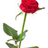 user5070151603947