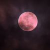 pink.grey1