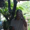 hev_jaz01
