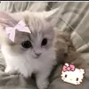 diane_nxx4