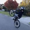 tony.dargenio