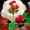 seengar.ali45