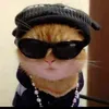 mr.meow201