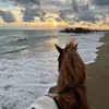 laurasra1