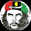 alihyderlaghari31