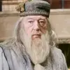 dumbledorehogwarts56