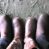 pj.smit2
