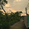 khang_33449