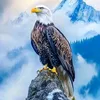 allah.names99