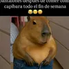 andrea_esti1