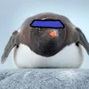 pingvun0