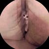himjkucci