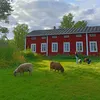 Itämäen talo