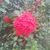 md.nuruzzaman8083