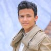 user75048700620012