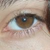 linasol.2009