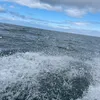 evie_4325