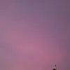 ners_272