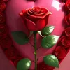 user5183002027625