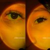 auroraalejandro_