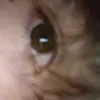 zer0_bel0w