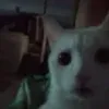 qwerliz_777