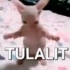 ditt_aha